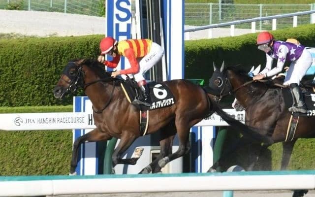 【東海S見どころ】ハギノアレグリアスの重賞初制覇なるか