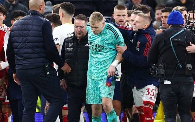 「可能な限り最善の措置を」トッテナムファンが最低の行為…ダービー敗戦直後、スタンドから蹴りを入れる愚行にクラブも声明「愕然としている」