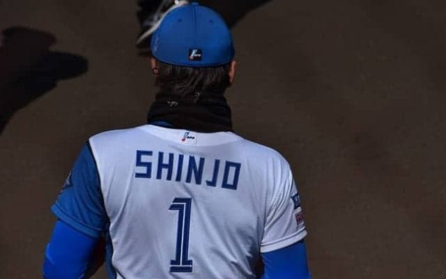 新庄ハム 人的補償で田中正義獲得も「埋まらぬピース」とは