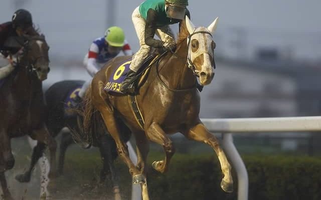 【AI予想・東海S】怒涛の追い込みが炸裂か!? 混戦模様のダート重賞で人工知能が推奨する◎候補