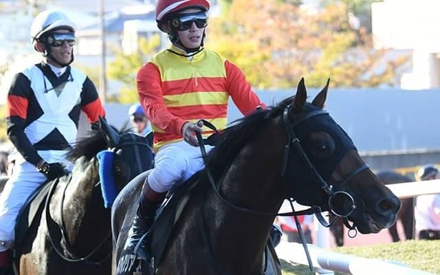 【東海S想定騎手】ハギノアレグリアスは川田将雅騎手、クリノドラゴンは武豊騎手