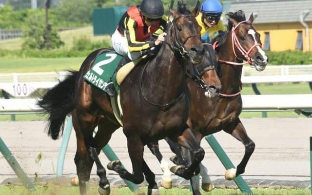 ヴェルトライゼンデが重賞2勝目 母はスタミナタイプのドイツ血統