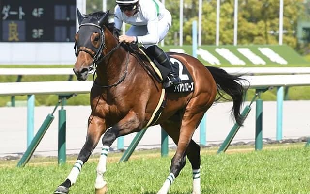 【東海S】兄は米ダートG1馬 初ダートの“砂の良血”アイアンバローズは侮れない