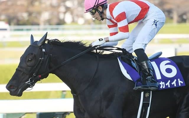 2021年のエリザベス女王杯覇者、障害に挑戦した平地重賞2勝馬などがJRA登録を抹消