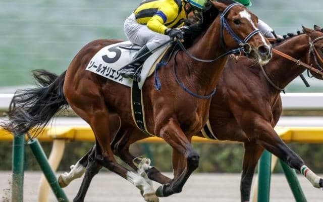 2年連続でクラシック候補を送り出した父キタサンブラック