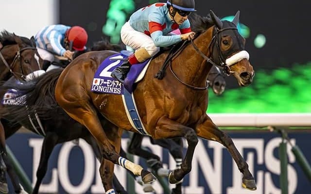 モーリス×アーモンドアイは夢配合 ジェラルディーナをはじめ偉大な先輩に続け！