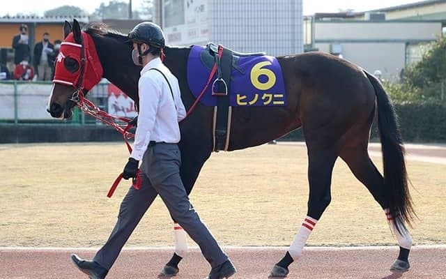 女性騎手対決を今村聖奈で制したヒノクニ 実は16年ぶりの“珍事Ｖ”を成し遂げていた！