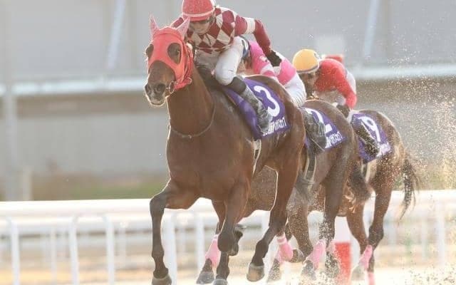 【名古屋・新春ペガサスC結果】リストンが押し切って人気に応える