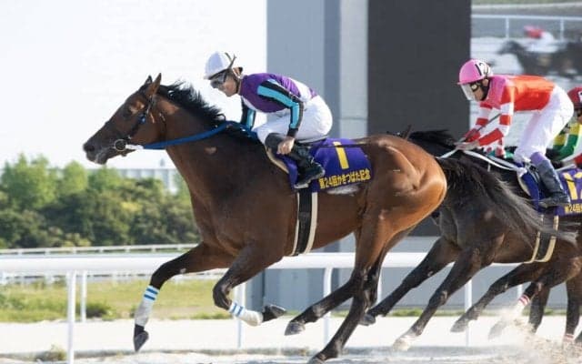 NAR年度代表馬はイグナイターに決定！田中学「充実した一年」