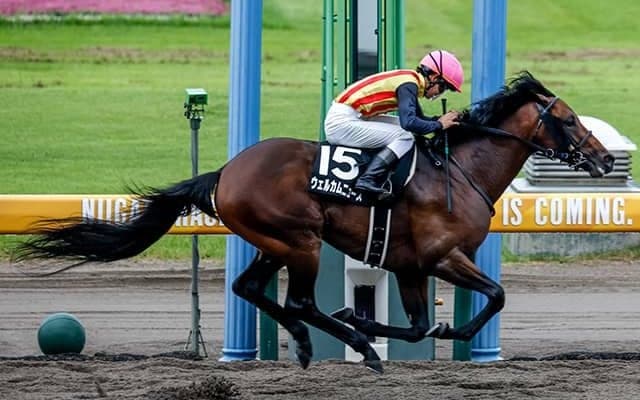 【東海S】西の名門・池江泰寿厩舎 9年ぶりのJRAダート重賞制覇なるか