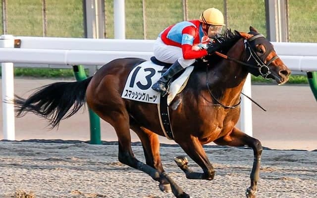 【東海S】砂のタレント集団・新谷厩舎に注目！ スマッシングハーツが強豪撃破狙う