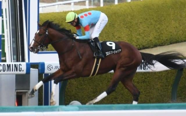 【東海S展望】フェブラリーSへのステップレース、近年の傾向とは