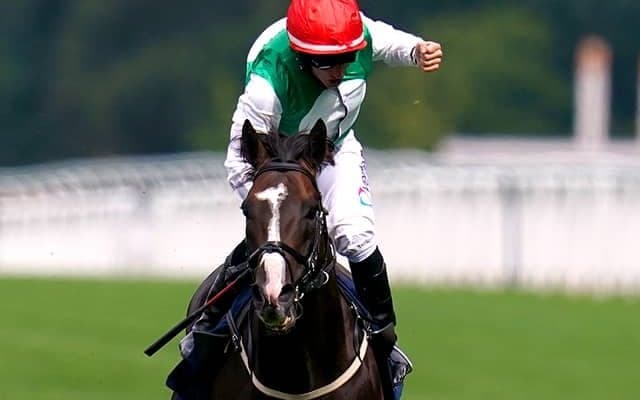 凱旋門賞馬を下しG1・2勝目を挙げた英国の強豪 ドバイシーマクラシックを目標に本格始動
