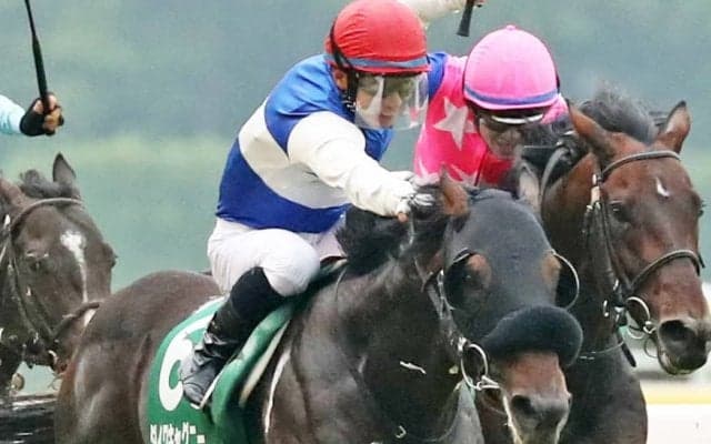 ダイワキャグニーが競走馬登録抹消