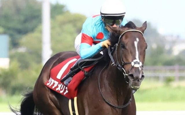 リアアメリアが競走馬登録抹消