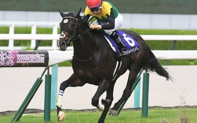 4歳上ではタイトルホルダーがトップ 22年のJPNサラブレッドランキング