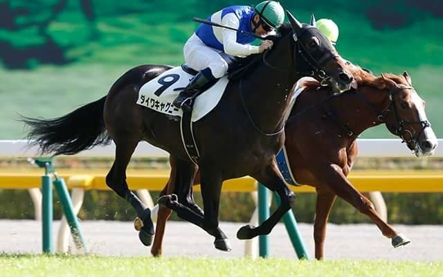 20年のエプソムカップ覇者ダイワキャグニーが登録抹消 今後は馬事公苑で乗馬に