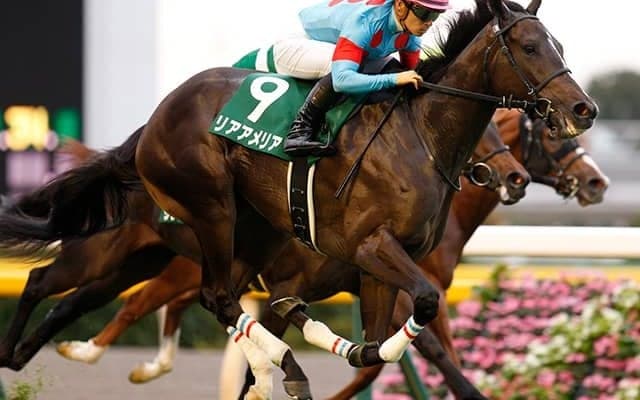 重賞2勝のリアアメリアが登録抹消 今後はノーザンファームで繁殖入り