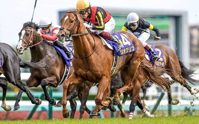 世界のトップ100GIに日本から12競走 最高は皐月賞の15位