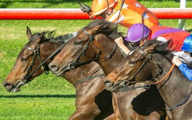 【AJCC／血統傾向】想定単勝オッズ“2桁”の伏兵　馬券内率「6割超」の巻き返しに期待