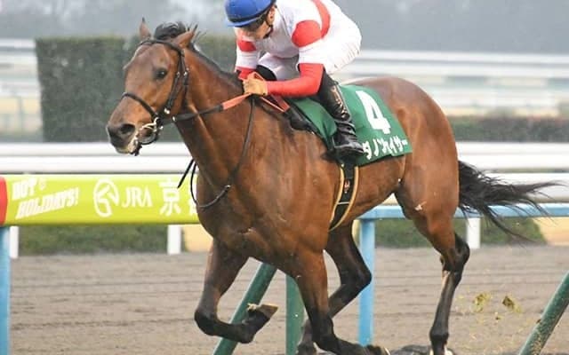 19年きさらぎ賞覇者のダノンチェイサーが登録抹消 今後は乗馬に