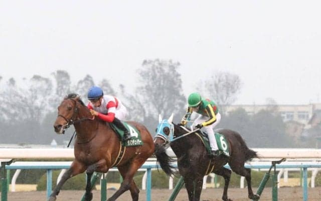 ダノンチェイサーが競走馬登録抹消