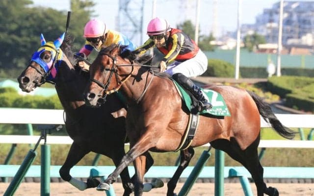 紫苑SのG2格付けと新潟牝馬Sのリステッド格付け