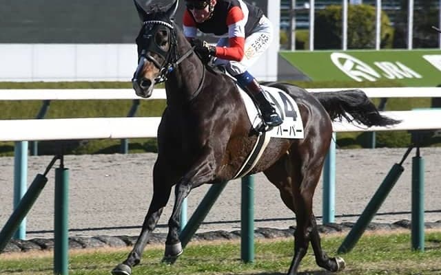 JBCレディスC覇者の姉に続け 昨年初勝利の妹が川田将雅騎手とのコンビで重賞Vだ