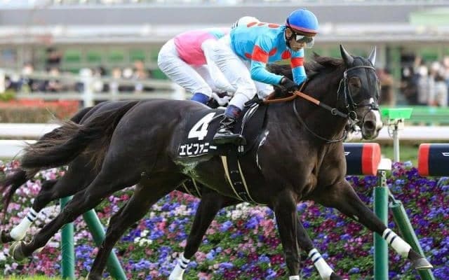 アリストテレス＆エピファニー 父エピファネイアの“連敗ストッパー”になれるか