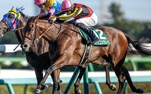 紫苑SがGIIに昇格 新潟牝馬Sはリステッドに格付け