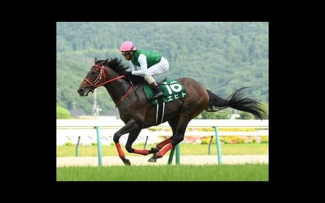 アメリカジョッキークラブＣは6歳馬が強い。今年の注目はルーラーシップ産駒と、中山で「複勝率100％」の良血馬