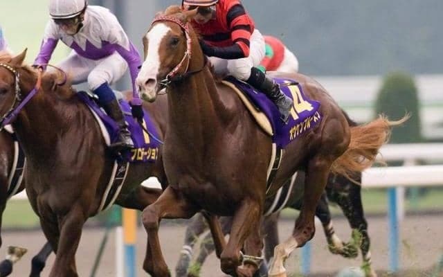 オウケンブルースリが種牡馬引退 08年菊花賞馬 主な産駒にオウケンムーン