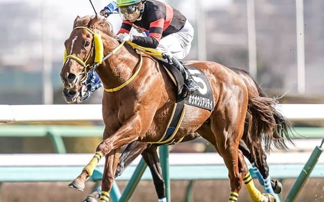 ホウオウリアリティが再び高配提供だ！ 中山芝のモーリス産駒に追い風あり