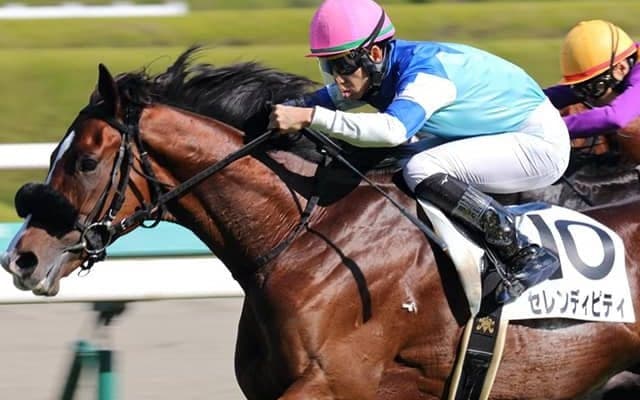 セレンディピティ 一族ゆかりの出世レースからクラシック目指す