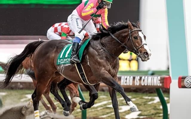 テイエムサウスダンやホウオウアマゾンなど根岸Sに18頭