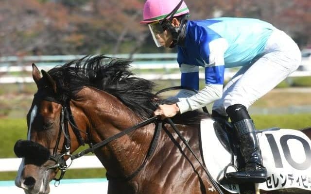 【今日の注目ポイント】中京で新設OPの睦月S 武豊騎手は節目の4400勝まであと2