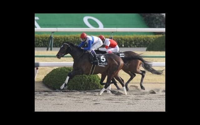 東海Ｓは１番人気の信頼度が高いレース。それでも穴党記者が注目するのは末脚自慢の伏兵２頭