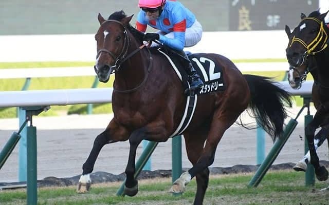 【AJCC予想】気温低下が激走サイン!? 寒さに強い注目馬「3頭」をピックアップ