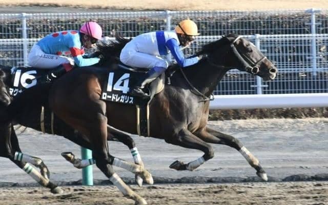 東海Sはロードレガリスが高配の使者!? 中京ダートはハーツクライ産駒が絶好調だ