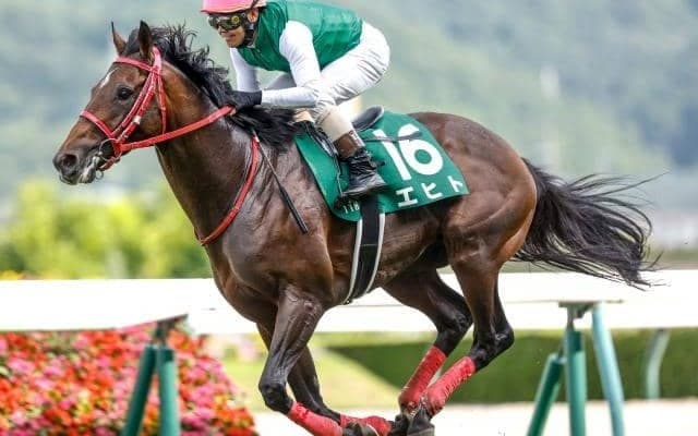 【AJCC予想】GI制覇に向けた始動戦