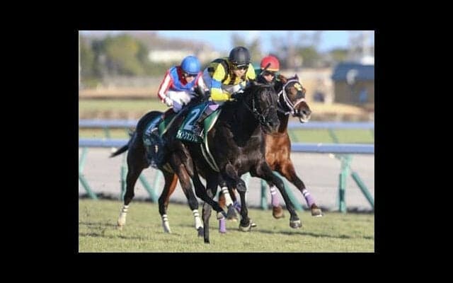 ディープインパクトのラストクロップ、ライトクオンタムは父譲りの末脚で世代の頂点に立てるか