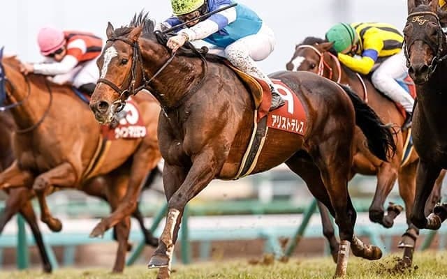 【AJCC予想】中山芝2200ｍは再好走の絶好コース！ 高配当狙いの穴馬はどれだ？