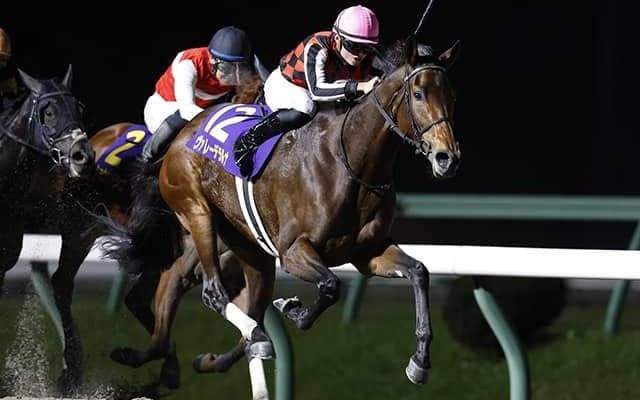 【大井・TCK女王盃枠順確定】ヴァレーデラルナは2枠2番、グランブリッジは7枠7番