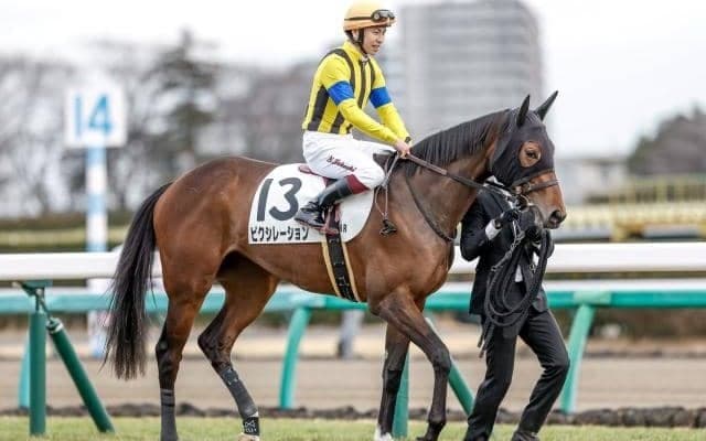 【中山6R新馬戦結果】ハーツクライ産駒ピクシレーションが差し切りV