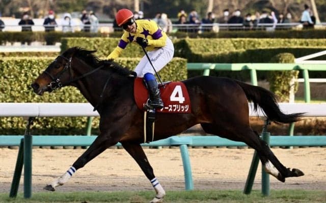 【AJCC】岩田康騎乗 ノースブリッジが重賞2勝目
