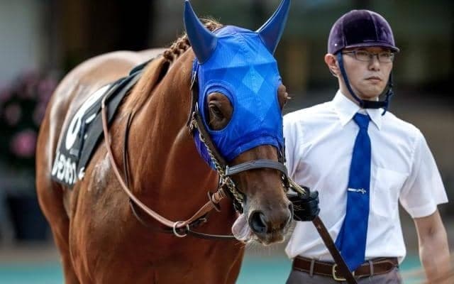 【根岸S】レモンポップ、カジノフォンテンらが登録