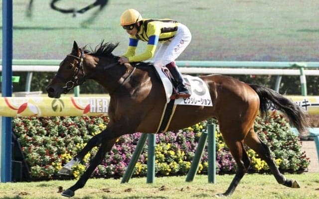 【新馬/中山6R】ハーツクライ産駒 ピクシレーションがデビュー勝ち
