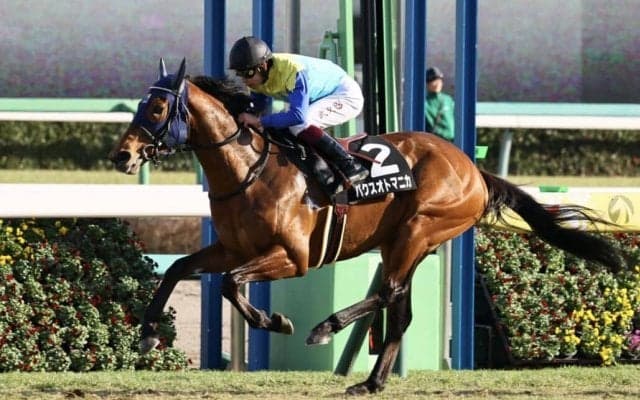 【若竹賞】パクスオトマニカが逃げ切り…後続を危なげなく完封