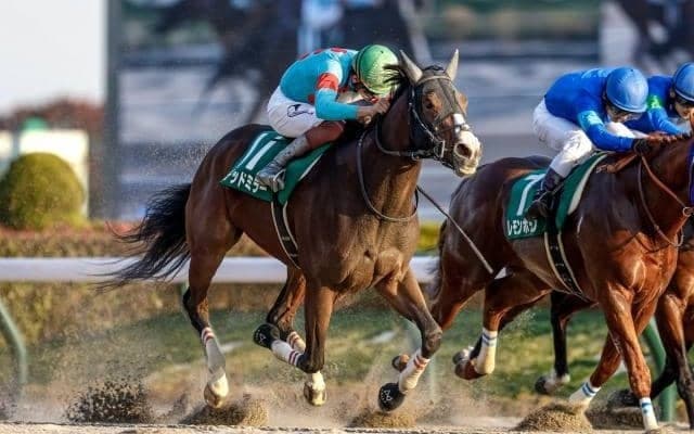 東京開催がスタート 重賞は根岸SとシルクロードS/今週の競馬界の見どころ