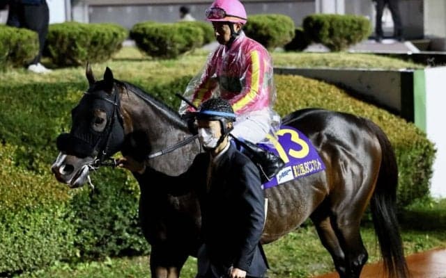 【根岸S登録馬】テイエムサウスダンなど18頭